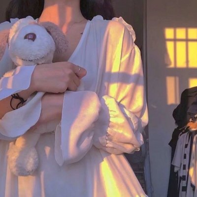 阿丽塔:战斗天使